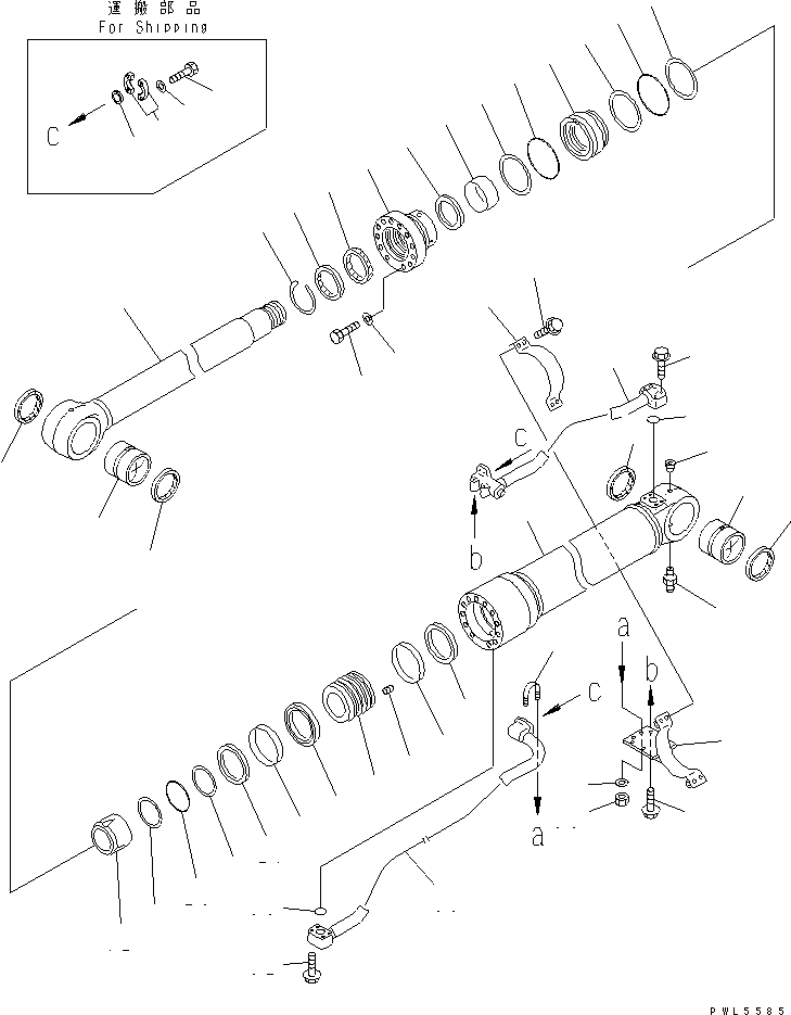 BOOM CYLINDER (500 HOURS GREASING TYPE)(#30001-55786) — komatsu parts diagram